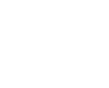 White logo of nafplio for mobile devices